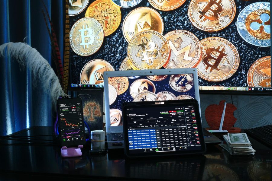 A Comparative Evaluation of Approaches to Cryptocurrency Fundamental Analysis