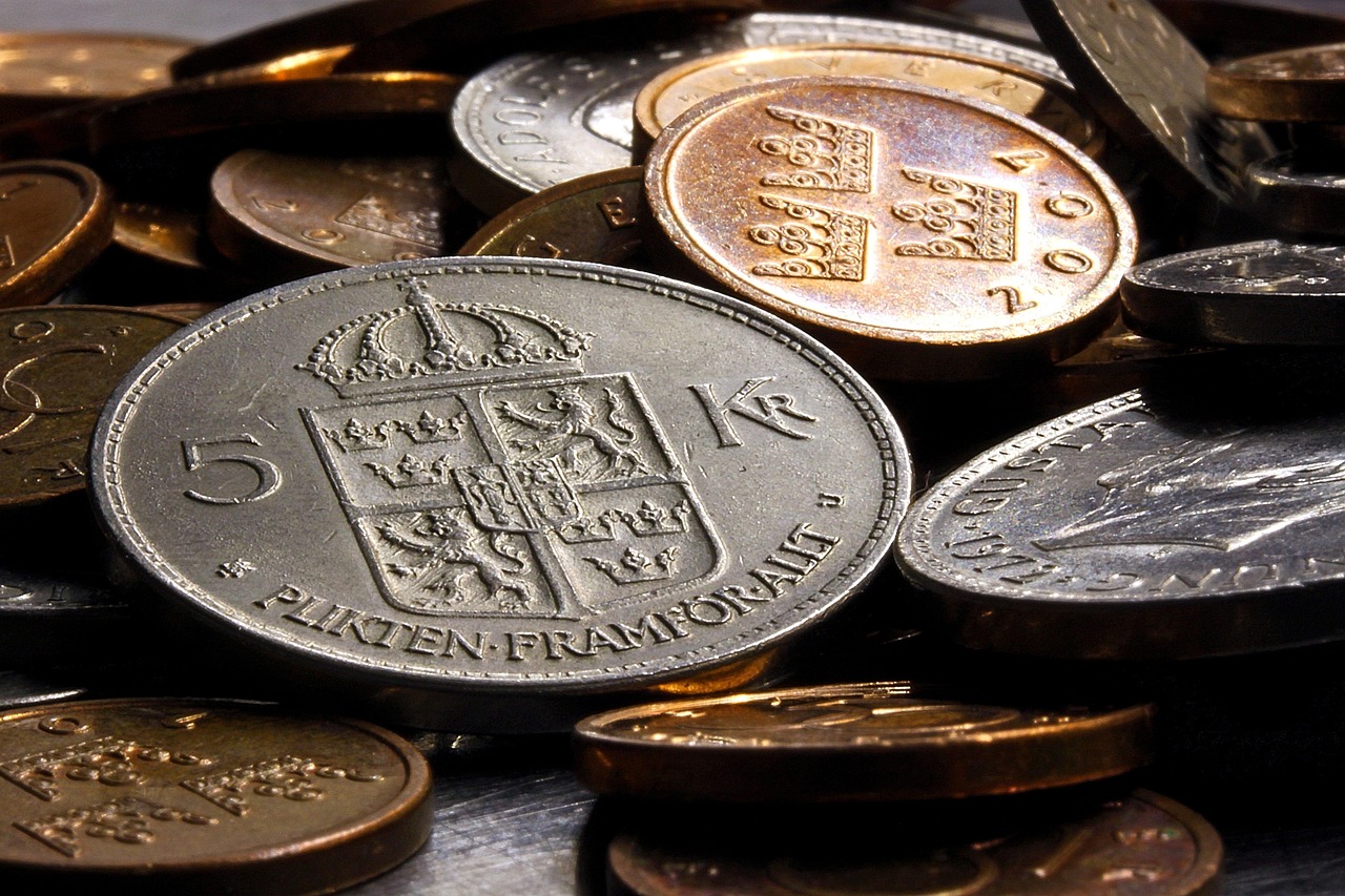 A Comparative Analysis of Coins in the United States of America