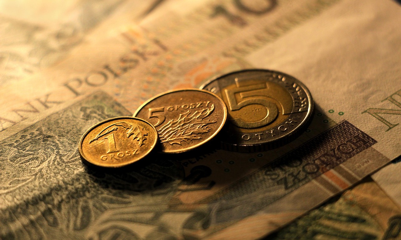 Illustrative visual related to how much is a 1 dollar coin worth
