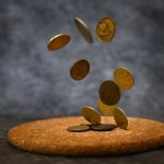 Examining the Landscape of the Altcoin Bear Market